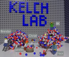 Kelch Lab - lego structure showing cells