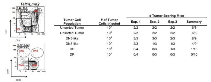 Figure 2. Leukemic DN3 progenitors are enriched in leukemic-initiating potential.