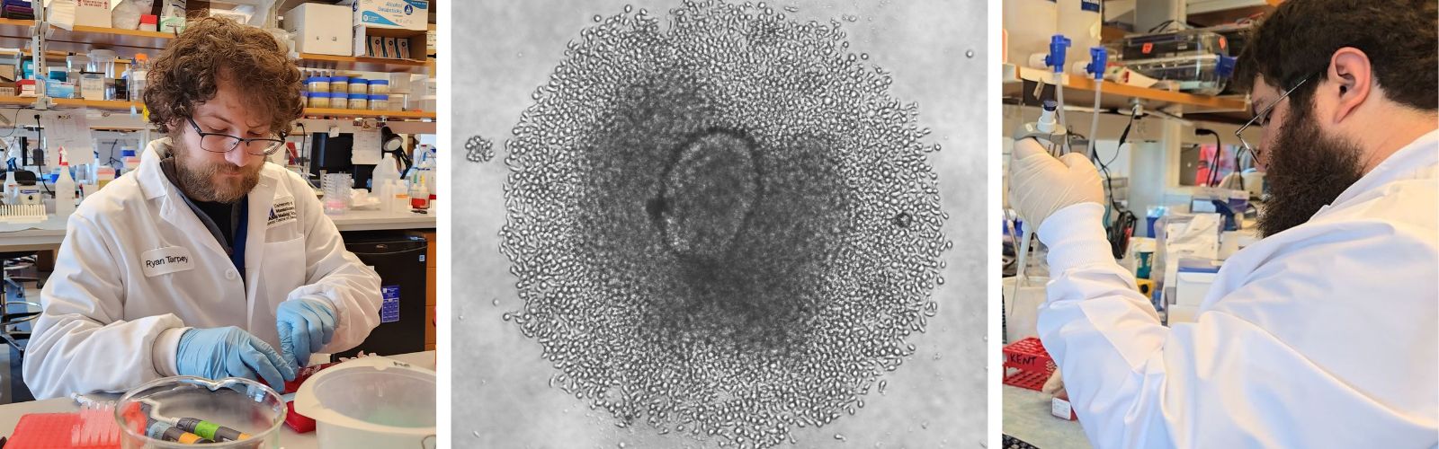 kent-lab-research-slider.jpg