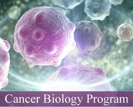 Cancer Biology Program