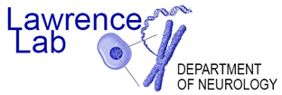 Lawrence Lab