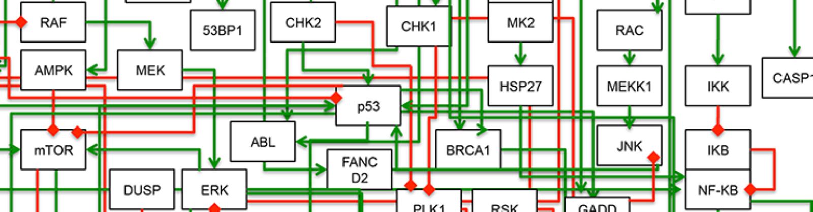 Circuit.png