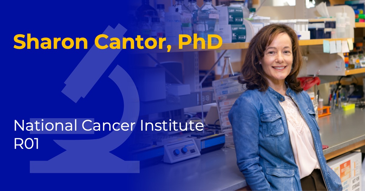 Cantor_NCIR01.jpg