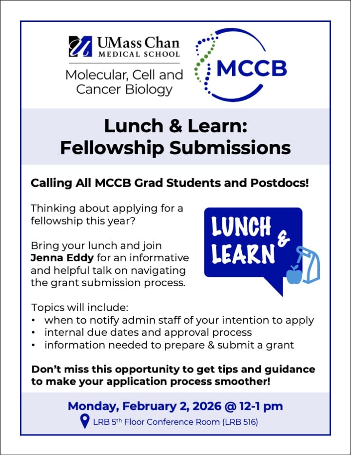 Flyer announcing a lunch and learn event on fellowship submission guidelines.