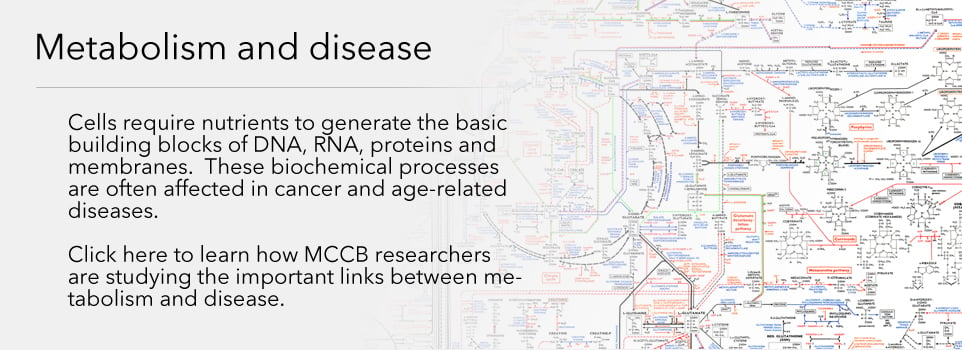 Metabolism and disease