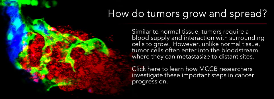 How do tumors grow and spread?