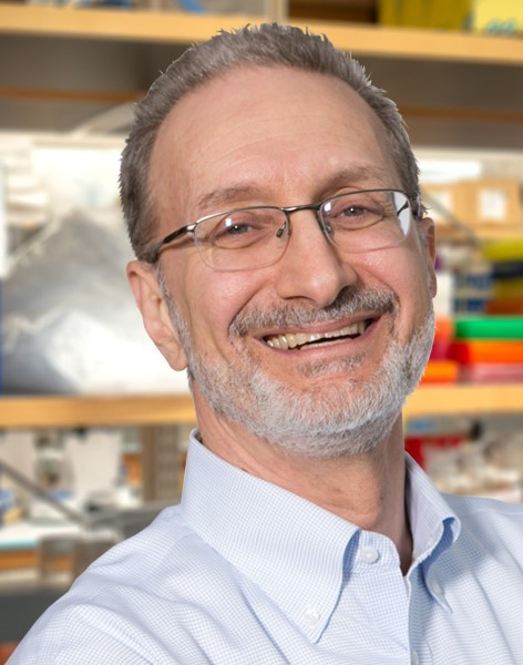 Michael Brodsky