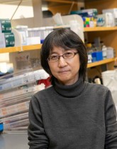 Yoshiko Usami