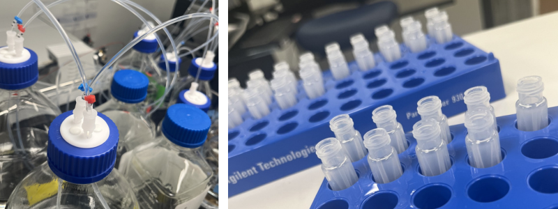 metabolomics core facility