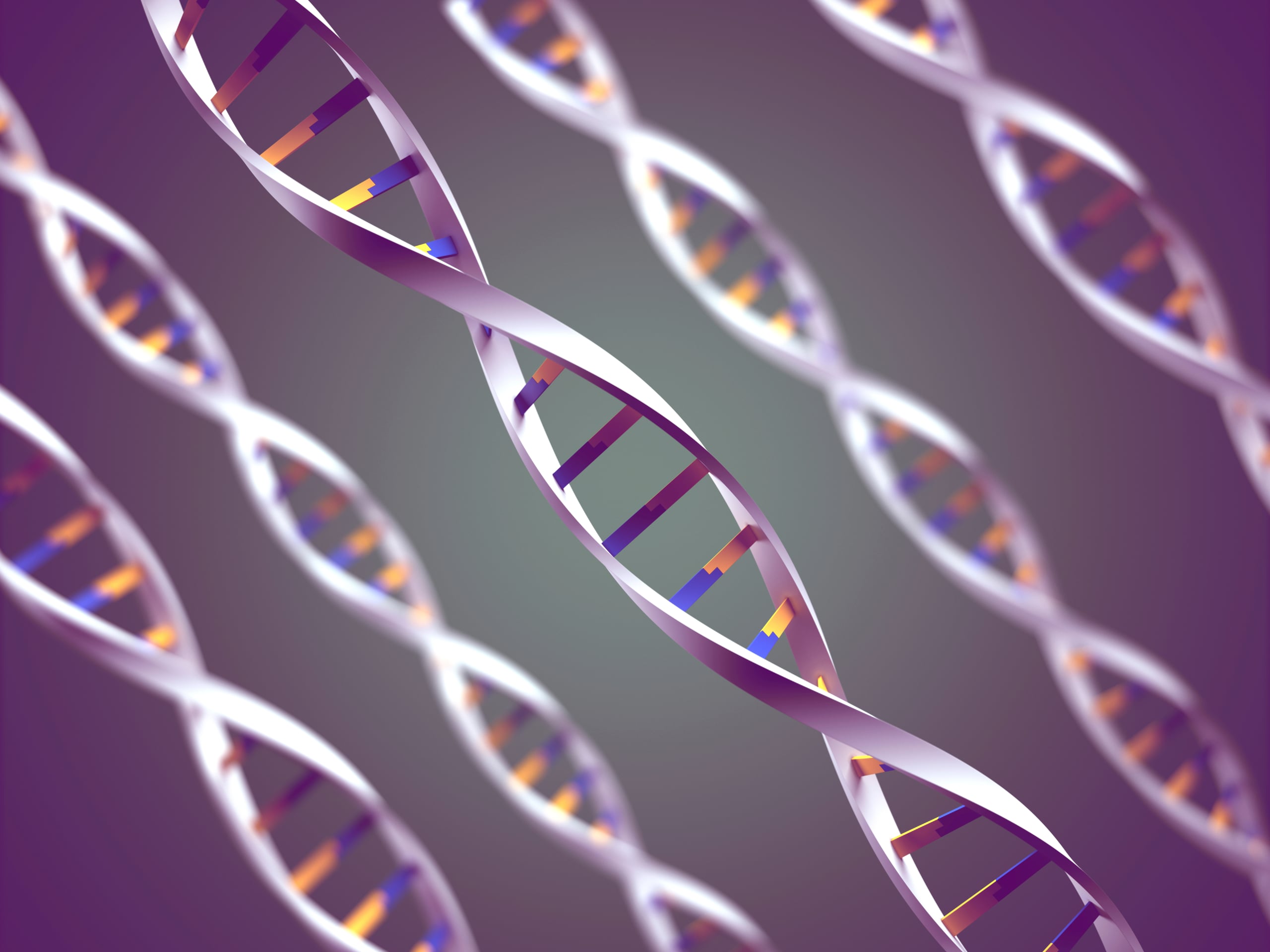 genetics.jpg