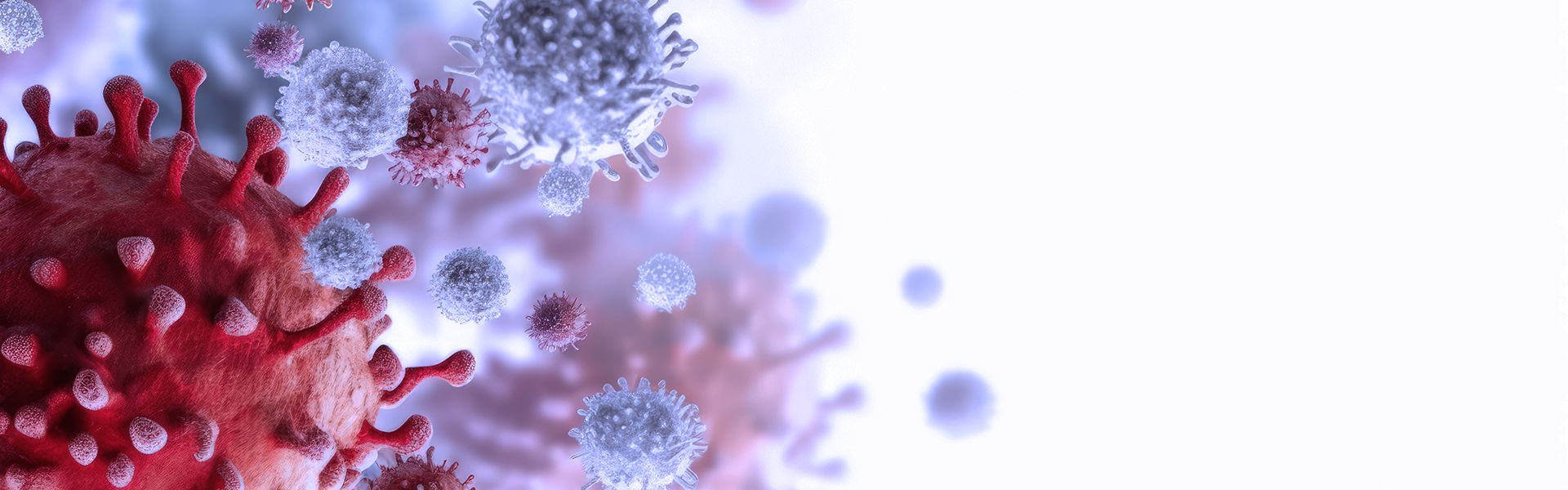Immune system