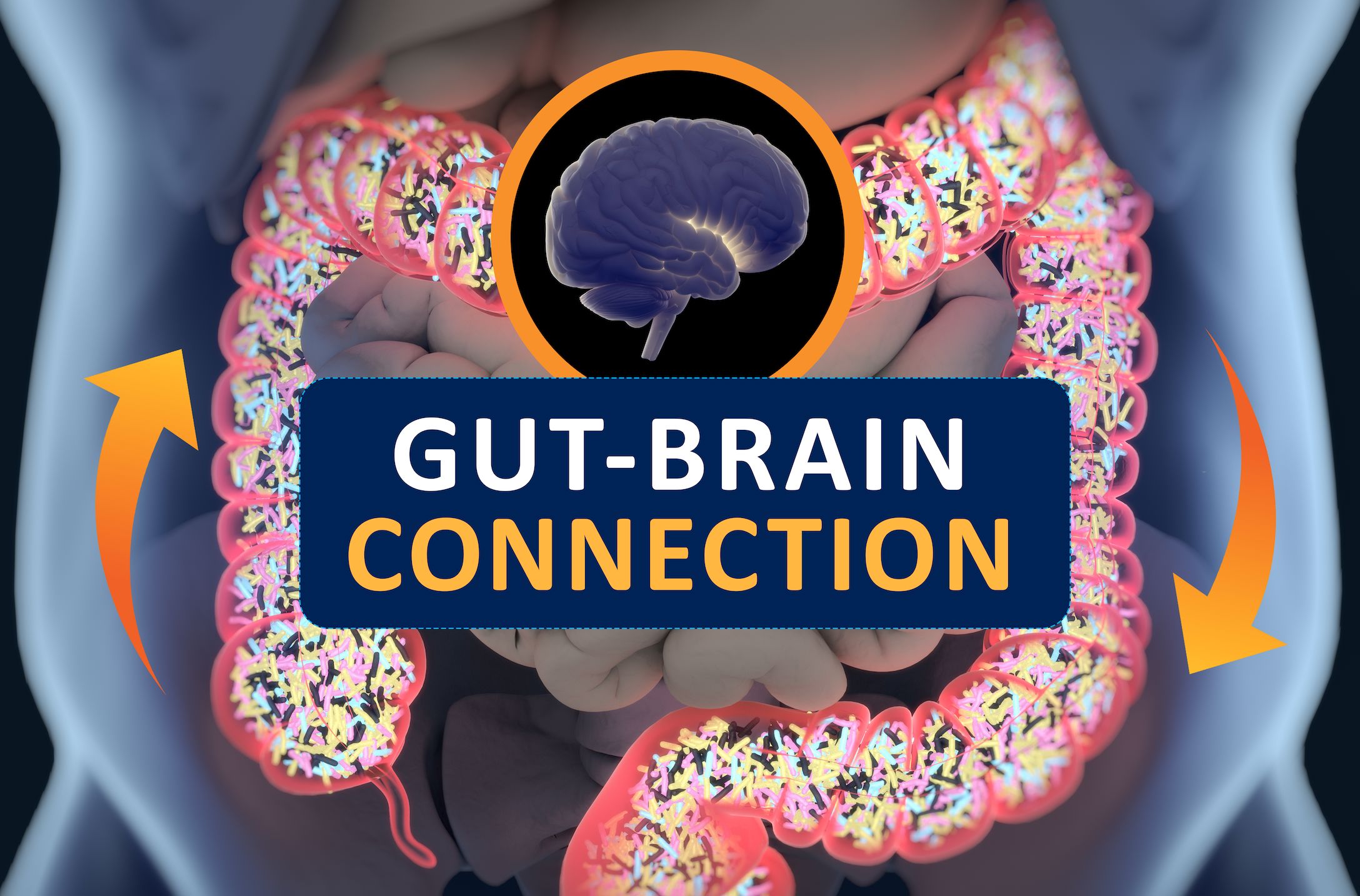 Gut Brain