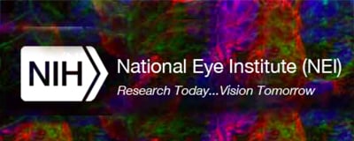 National Eye Institute