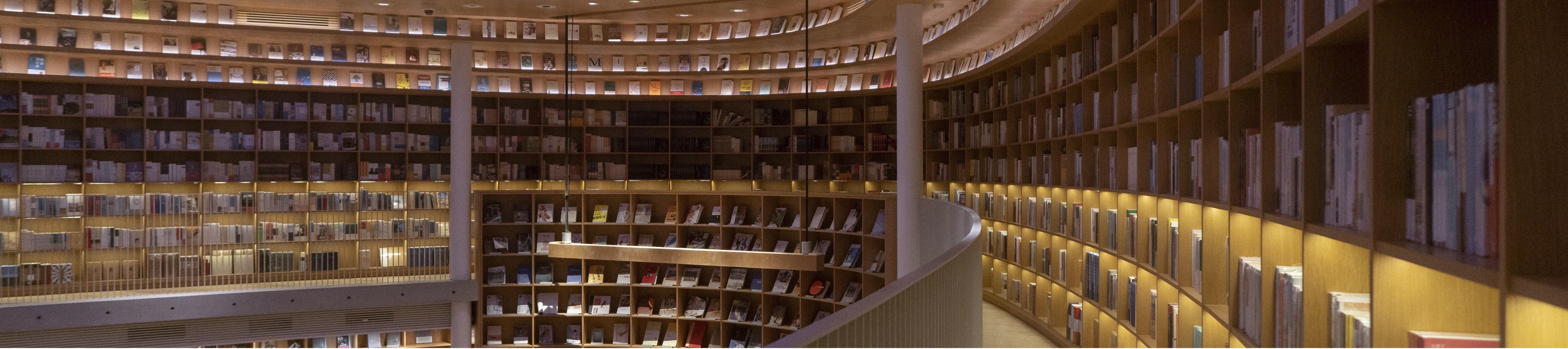 rows of bookshelves filled with books