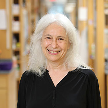 Ann Rothstein