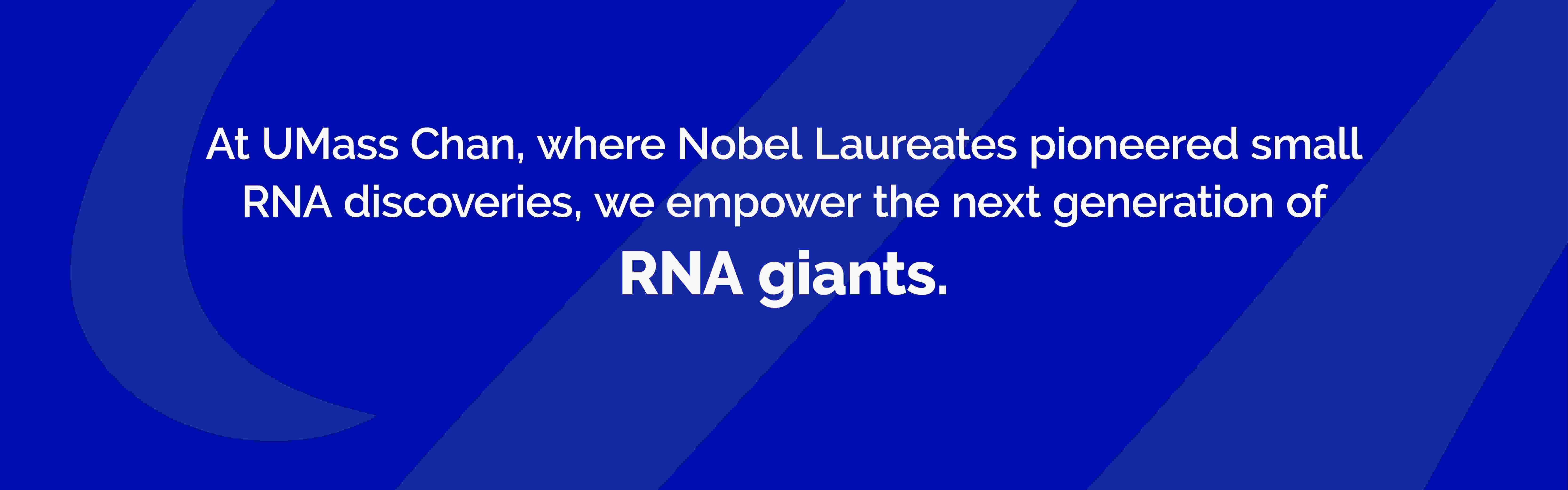 2024 RTI Fellows Slider- RNA Giants.jpg