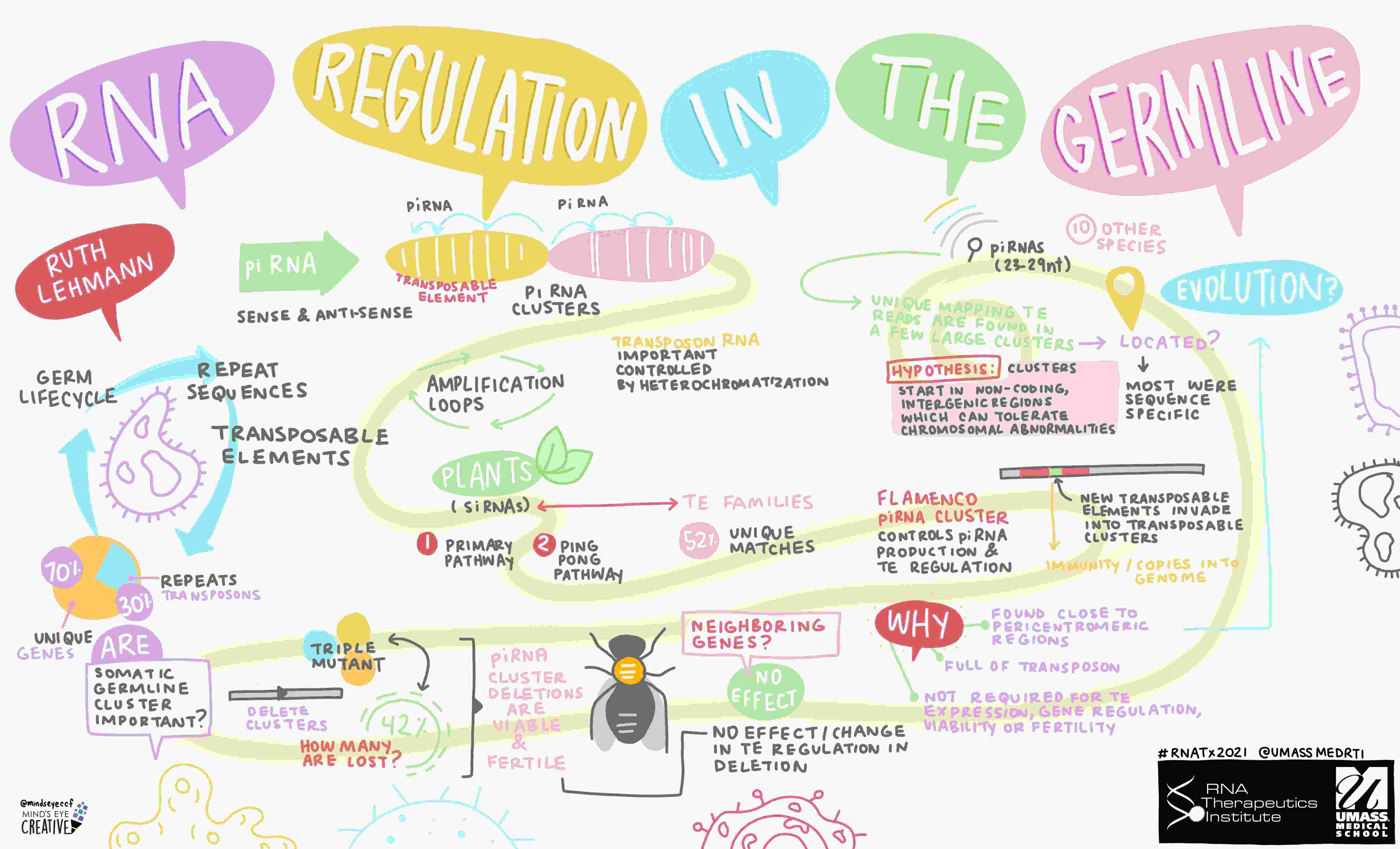 Graphical Recording of 2021 RNATx speaker, Ruth Lehmann