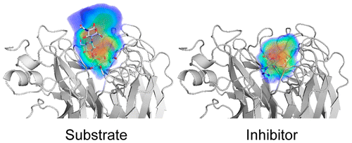 Molecular Basis for Differential Patterns of Drug Resistance in Influenza N1 and N2 Neuraminidase.