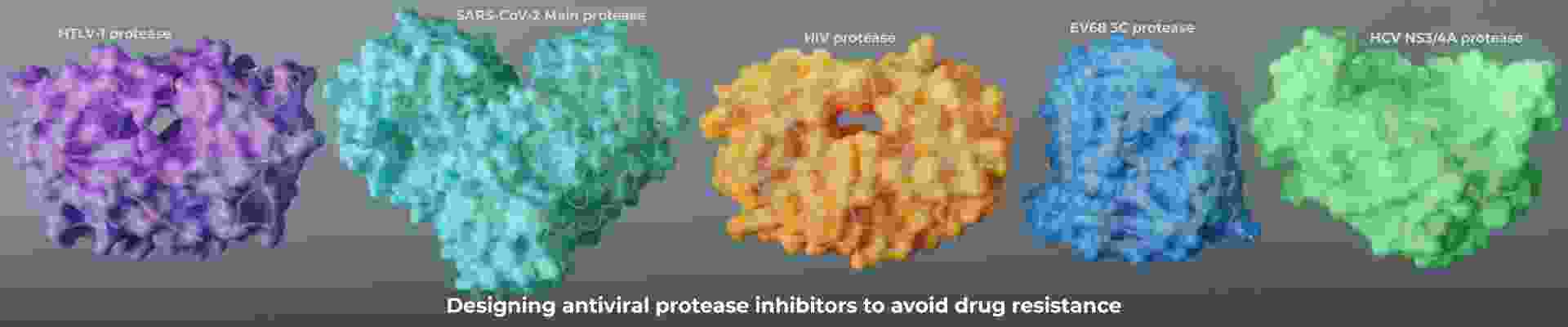 Antiviral protease.png