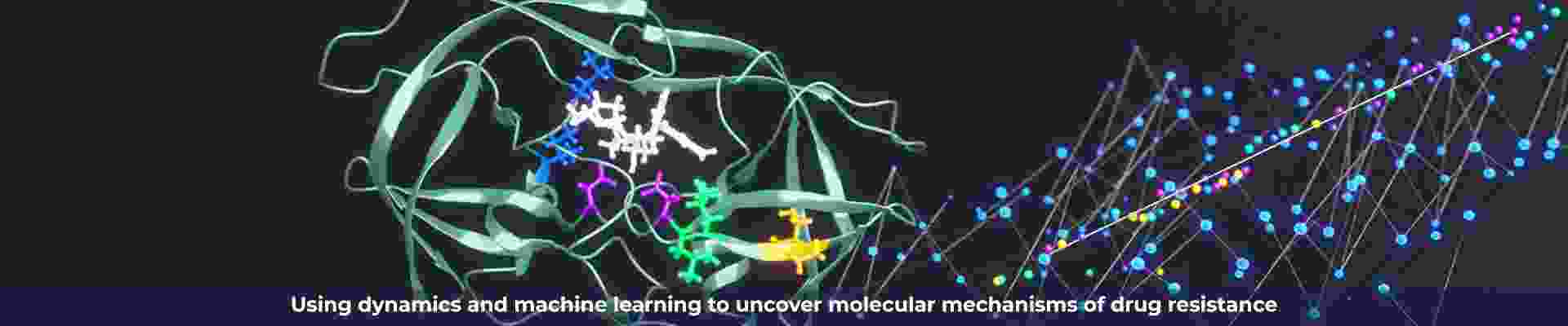 molecular mechanisms.png