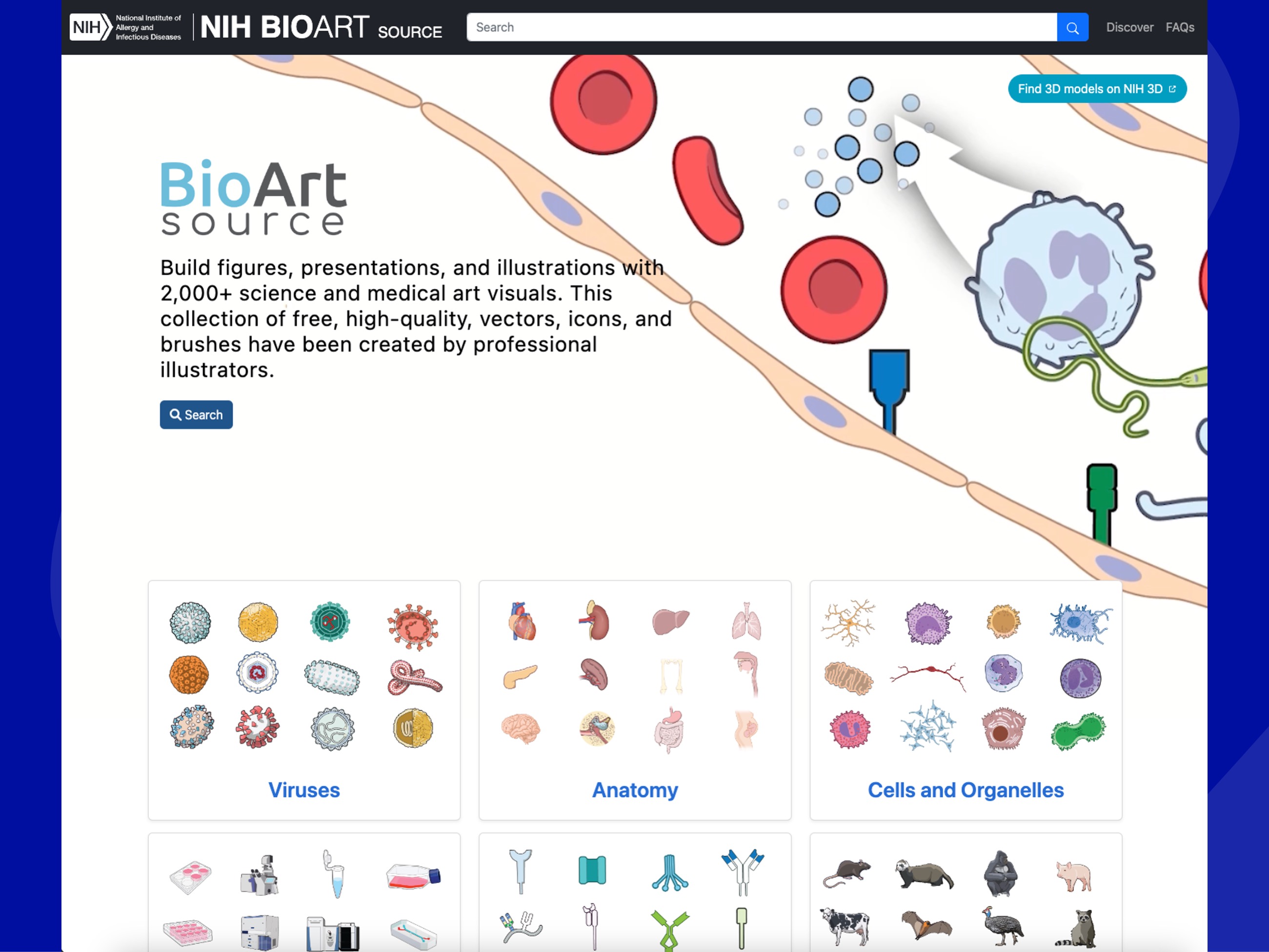 Screenshot of the NIH BioArt Website