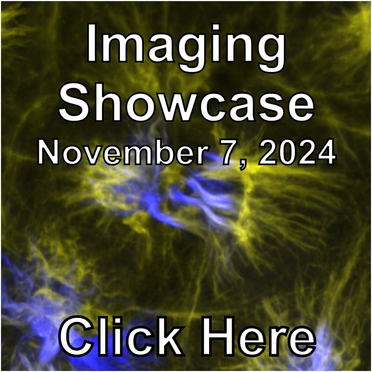 Imaging Showcase 2024