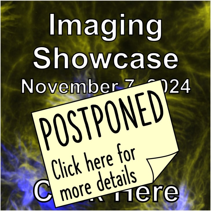 imaging showcase 2024