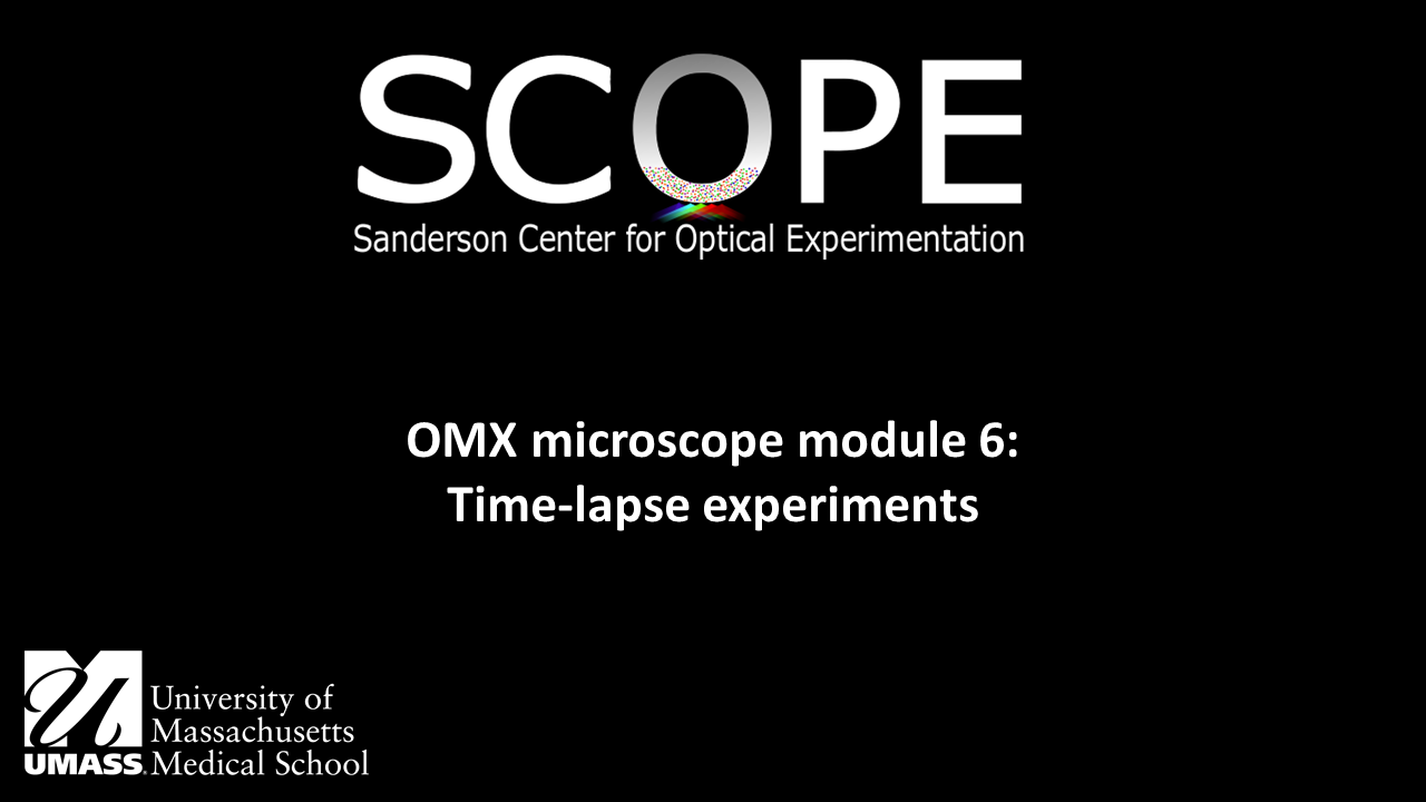 OMX module 6