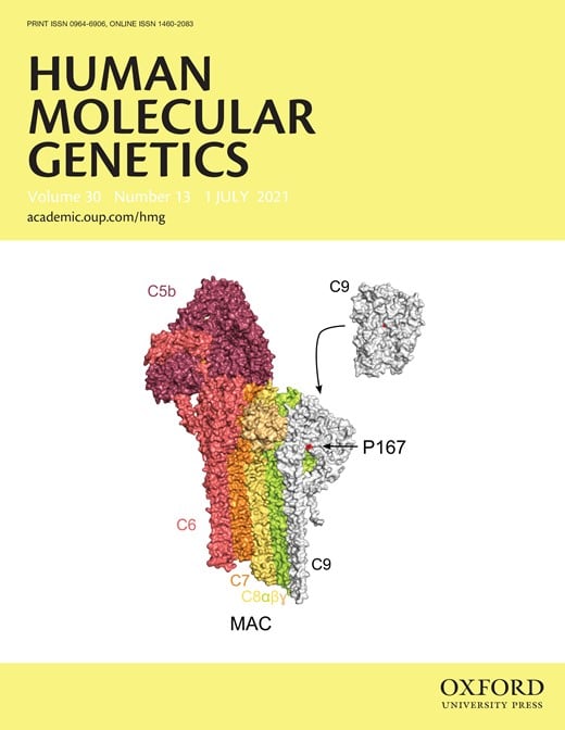 The rare C9 P167S risk variant for age-related macular degeneration increases polymerization of the terminal component of the complement cascade - 2021