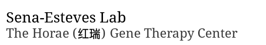 Sena-Esteves Lab for Gene Therapy