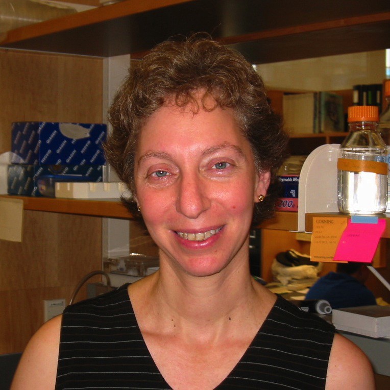 Merav Socolovsky