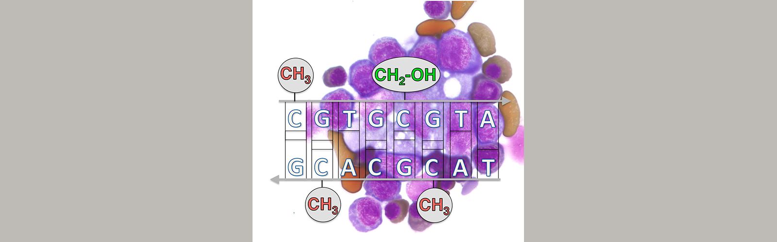 Homepage-dna-slide.png