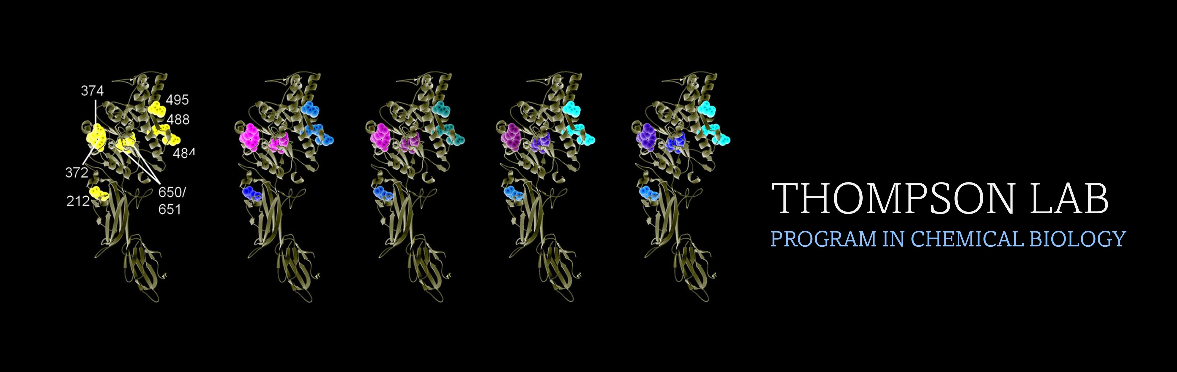 Thompson Lab banner