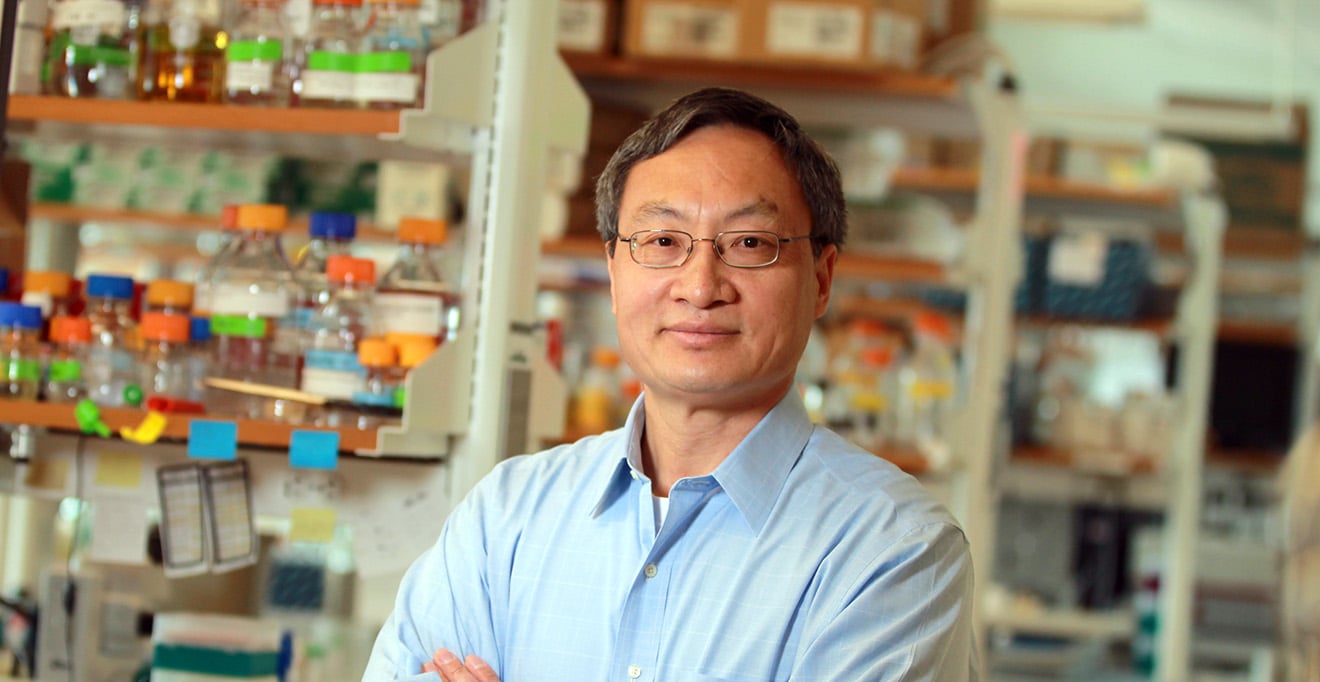 Fen-Biao Gao named fellow of the American Association for the Advancement of Science