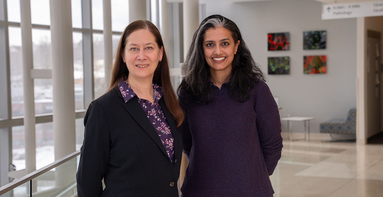 UMass Chan researchers shed light on how inflammation in GI tract rewires enteric nervous system