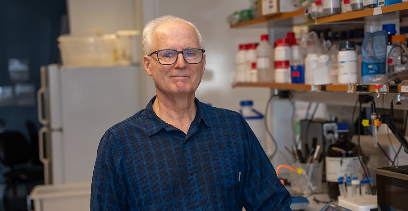 Louis Messina receives NIH grant to support research of aging and immune response