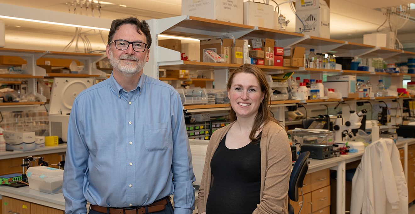 UMass Chan study finds brain activity could predict problematic drinking, relapse vulnerability in alcohol use disorder