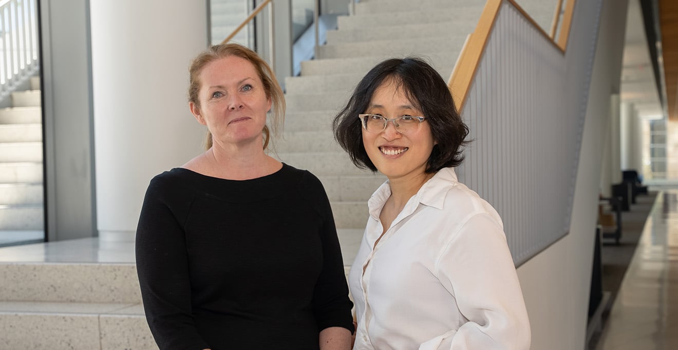UMass Chan research shows exciting step forward in innate immune stimulation and vaccine platform development