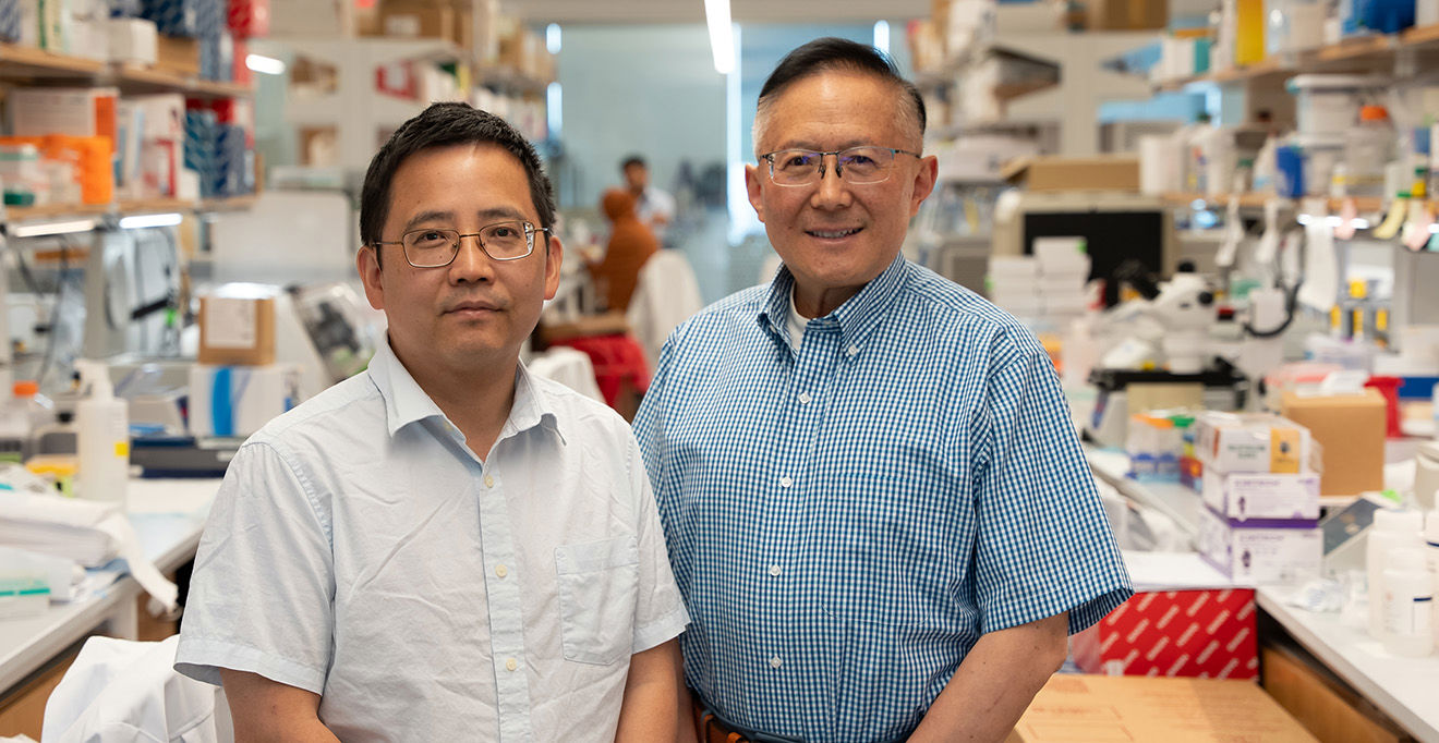 Scientists at UMass Chan Medical School develop microRNA-based gene therapy that halts ALS progression in mice