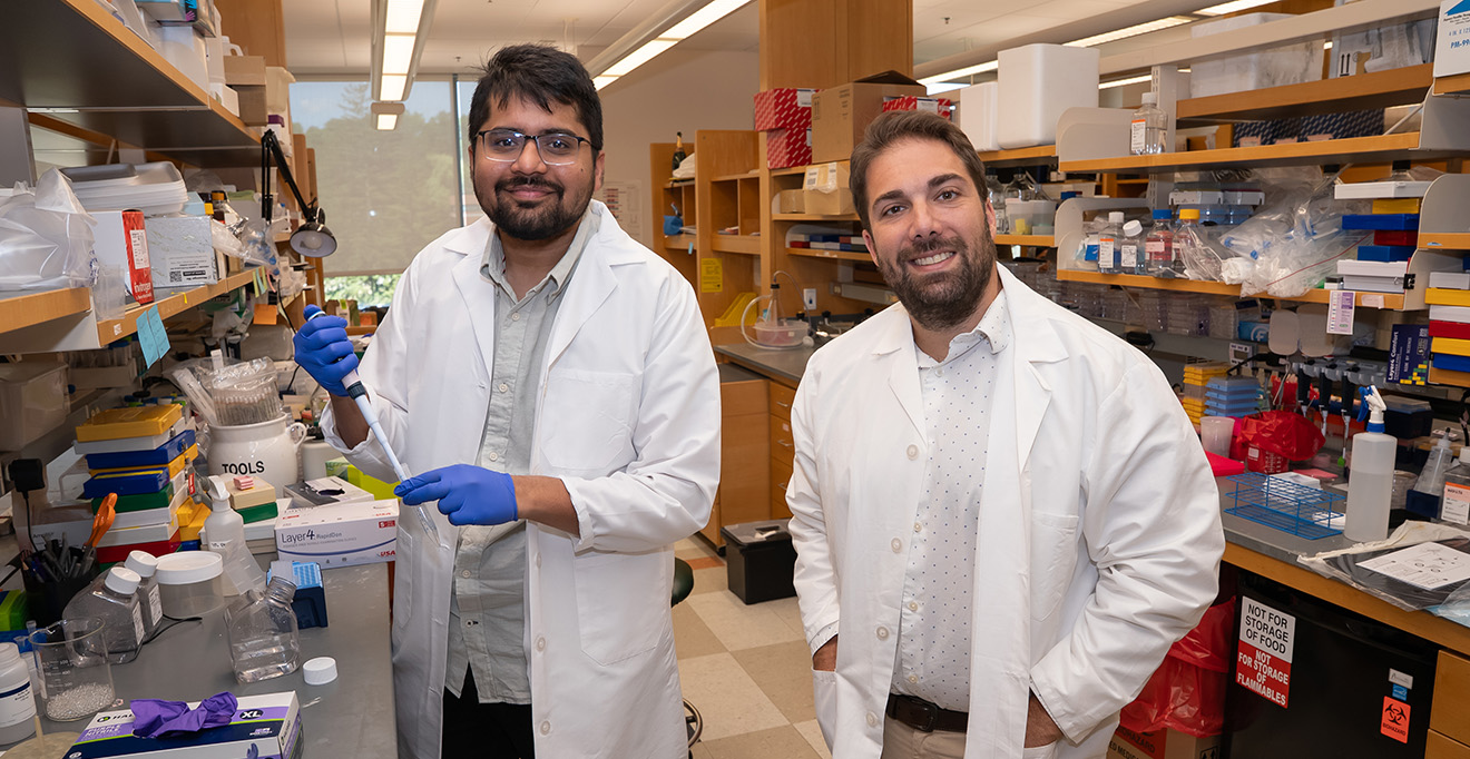 mRNA immunotherapy developed by UMass Chan scientists eliminates pancreatic tumors in mice