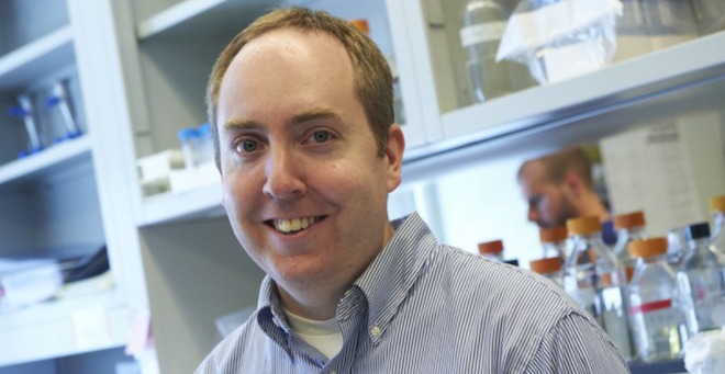 Cole Haynes receives investigator award from HHMI, Gates & Simons foundations