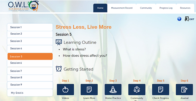 Electronic health toolkit brings nonopioid treatments to low-income chronic pain patients