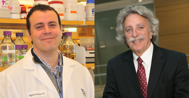 Miguel Sena-Esteves, PhD, and Allan Jacobson, PhD