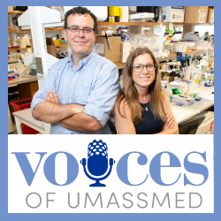 LISTEN: New hope for Tay-Sachs disease at UMass Medical School