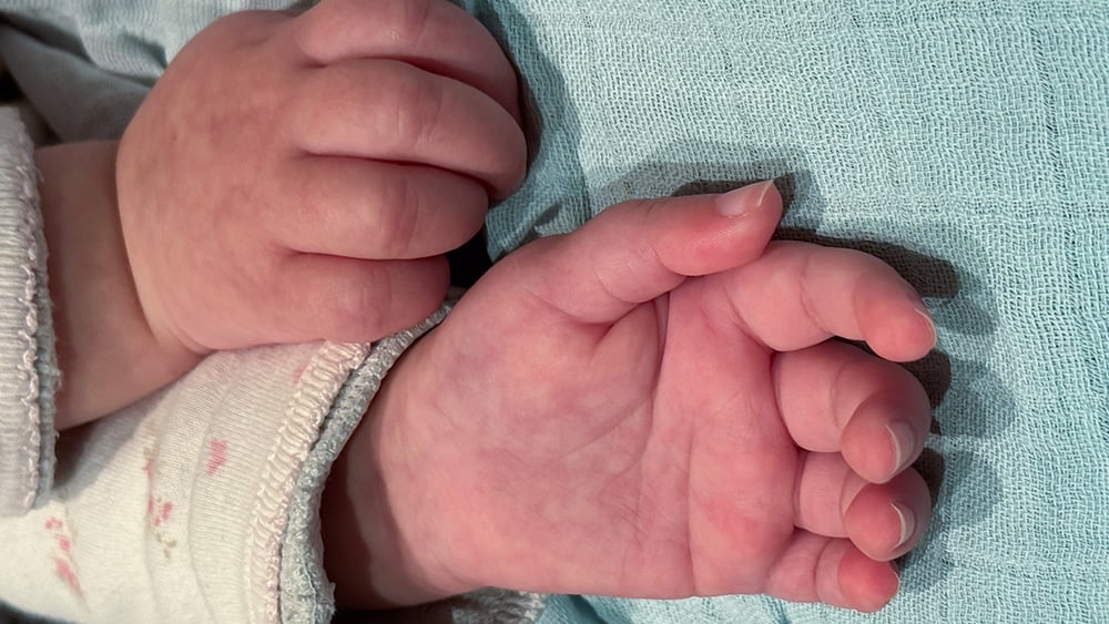 A close-up of Catherine&rsquo;s hands.