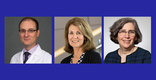 Robert Caricchio, Michelle Kelliher and Celia Schiffer appointed to endowed chairs
