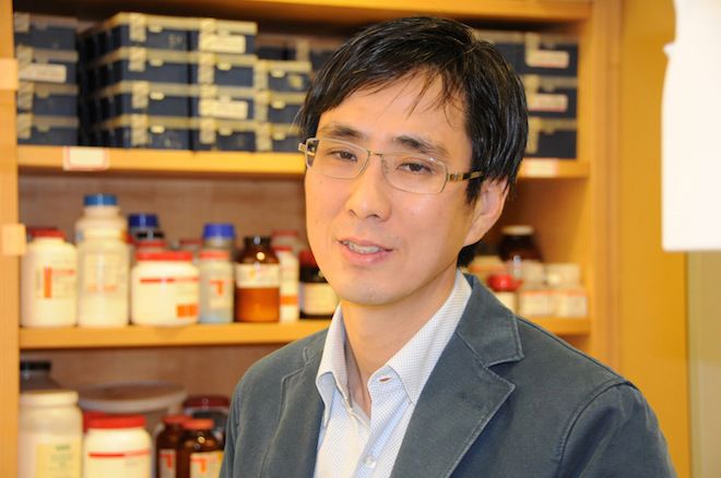 New PageJun Huh, PhD, named Searle Scholar for research on innate immunity