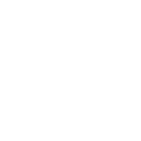 LinkedIn Icon