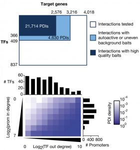 From Fuxman Bass et al., 2016. The test space (top) and matrix results (bottom) of the protein-DNA interaction network.