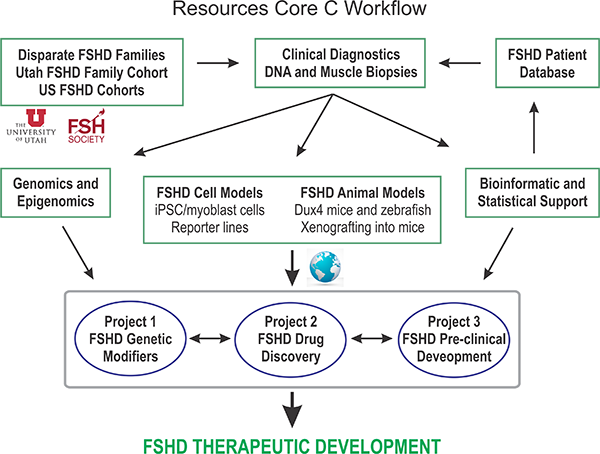 Resources Core C workflow